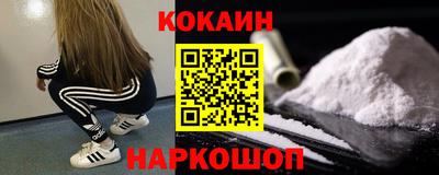 дживик Кингисепп