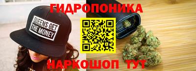 гидра Кохма