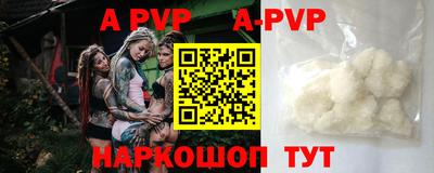 дживик Кингисепп
