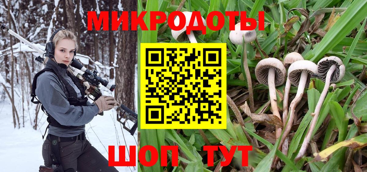 Киселёвск  Псилоцибиновые грибы мухоморы  Вход с VPN 