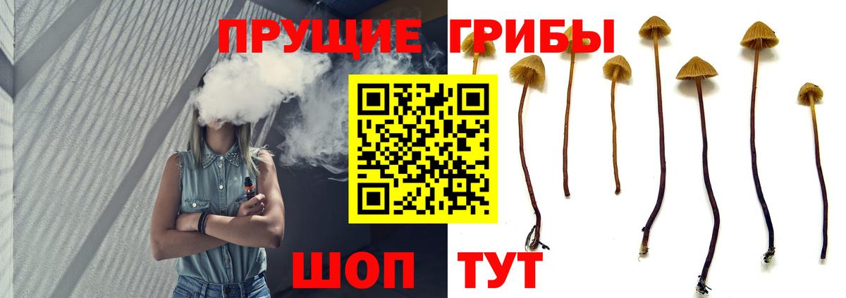 Галлюциногенные грибы ЛСД Киселёвск